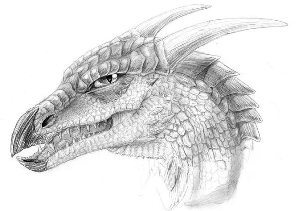 Лицо дракона в профиль