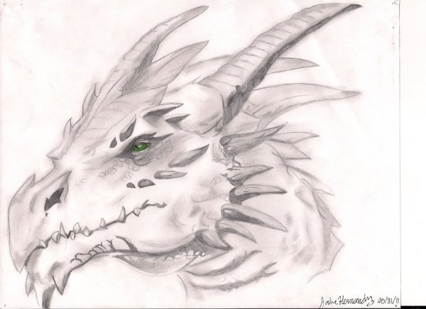 Зарисовка головы дракона
