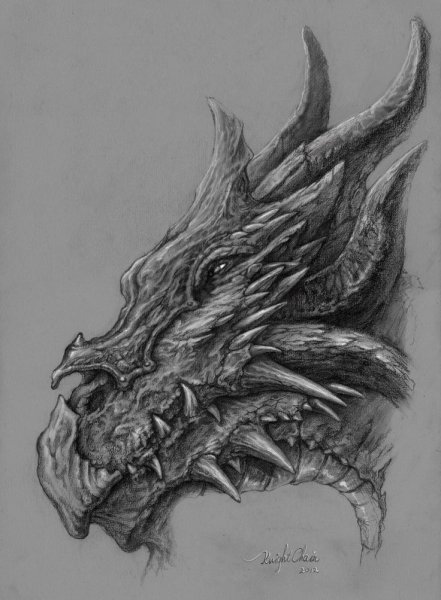 Набросок головы дракона