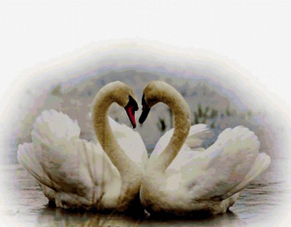 Картина любовь и лебеди