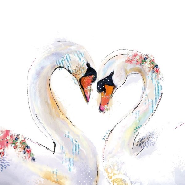 Лебеди вдвоем