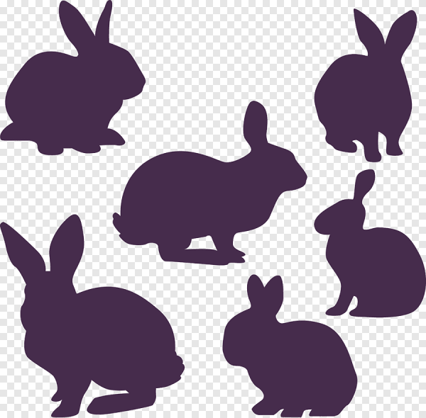 Кролик трафарет