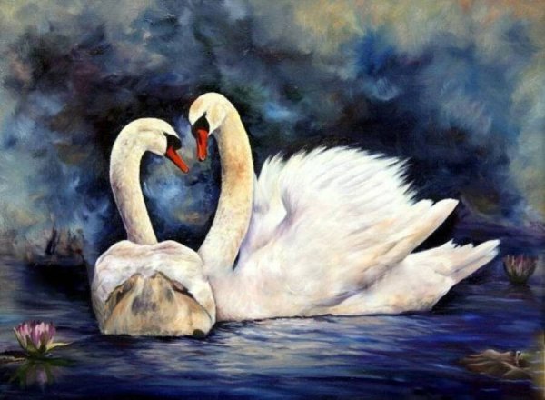 Два лебедя живопись