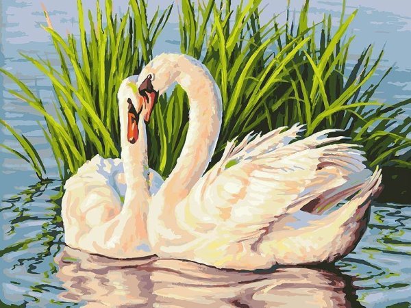 Мосфа картина по номерам "Лебединая пара" 40х50 см