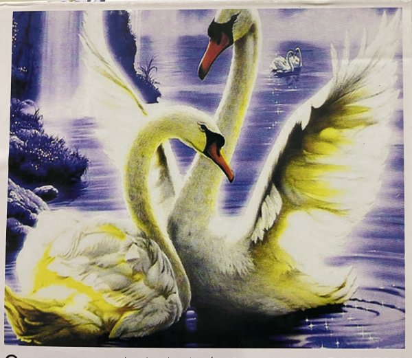 Мозаика алмазная лебеди 40х50