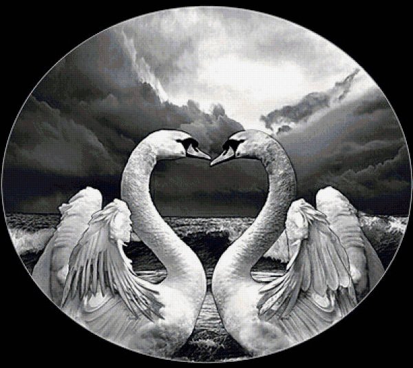 Лебедь для гравировки