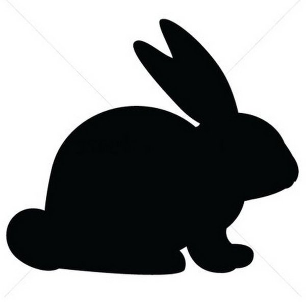 Тень кролика