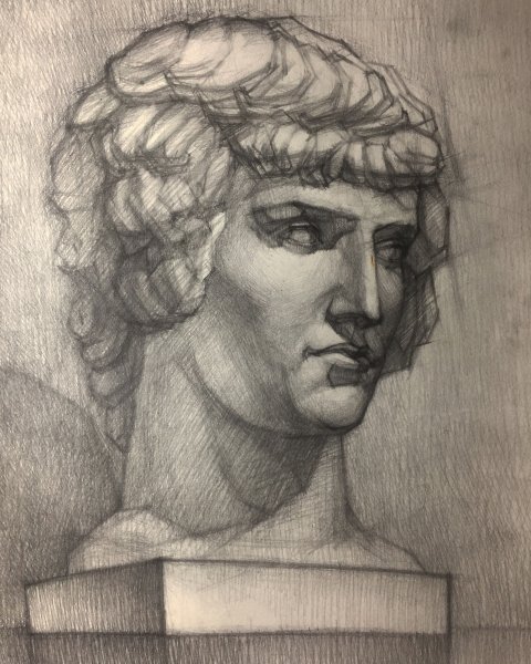 Антиной Академический рисунок