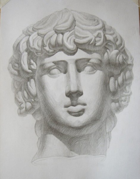 Антиной рисунок головы Академический