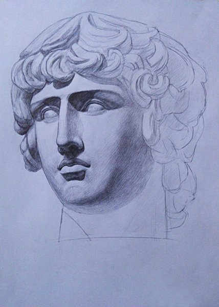 Антиной Академический рисунок