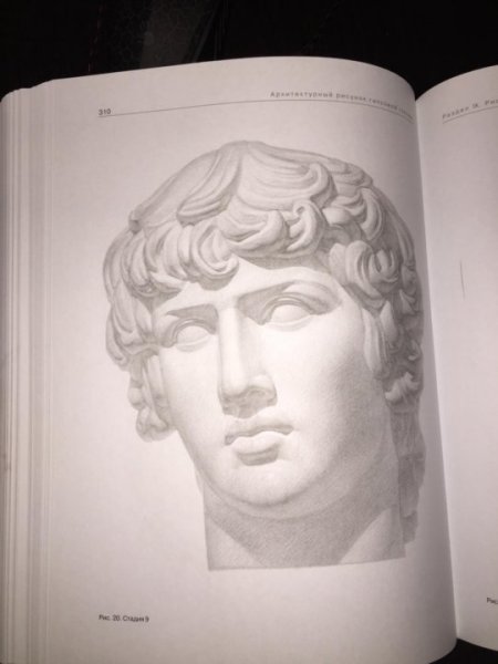 Антиной гипсовая голова