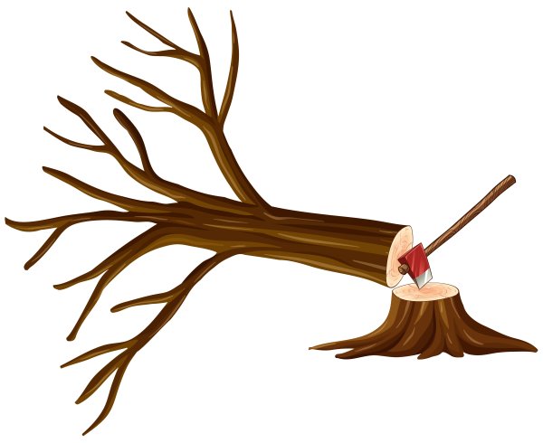 Срубленное дерево с ветками