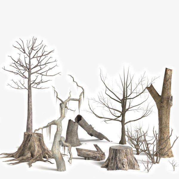 Модель дерево сломанного