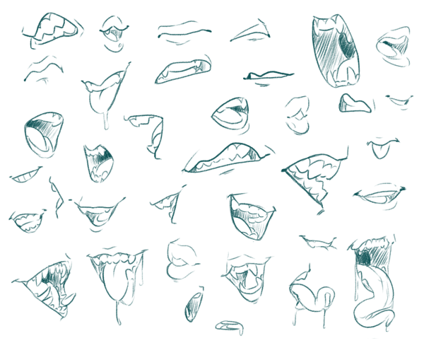 Ушная раковина референс