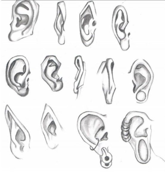 Эльфийские уши аниме