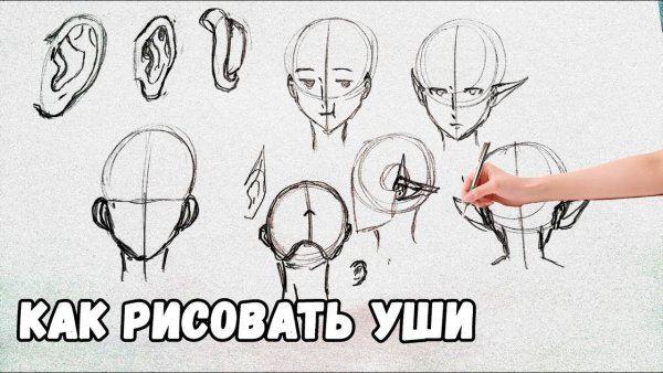 Уши эльфа вниз рисунки