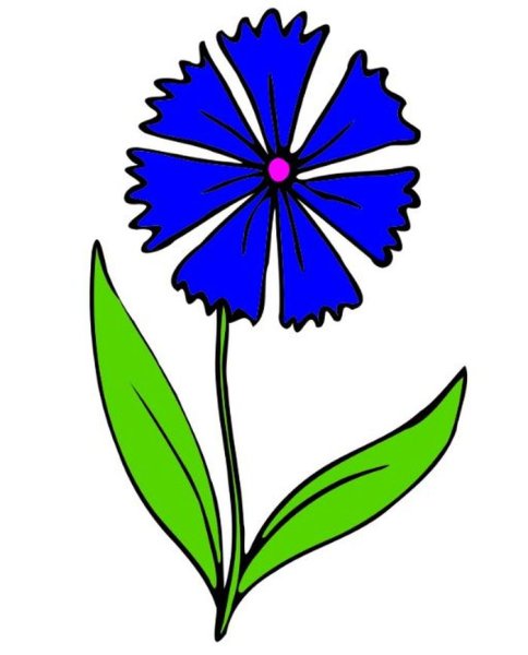 Василек для детей