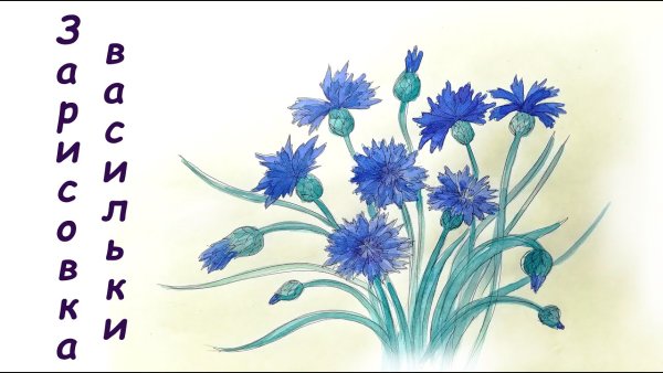 Васильки с детьми в ДОУ