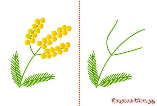 Веточка мимозы ватными палочками