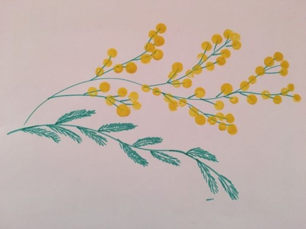 Ветка мимозы ватными палочками