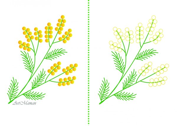 Мимоза рисунок