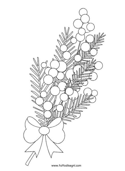 Строение мимозы