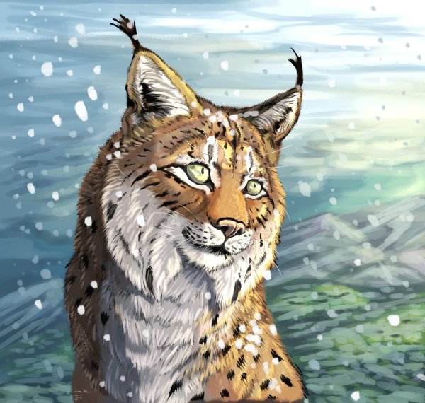 Коты Воители Рысь