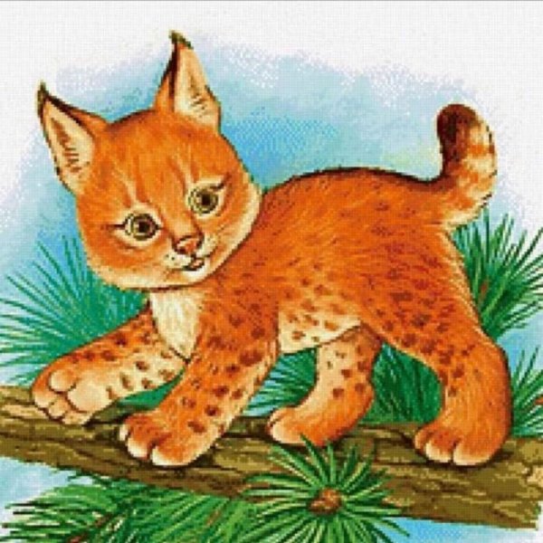 Рысь раскраска для детей