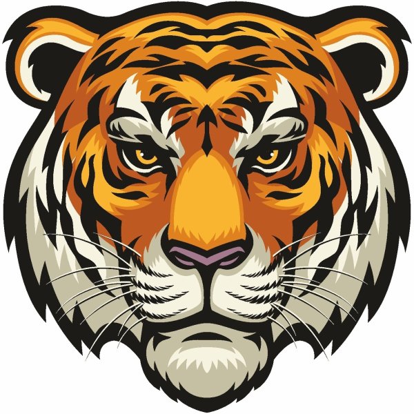 Морда тигра