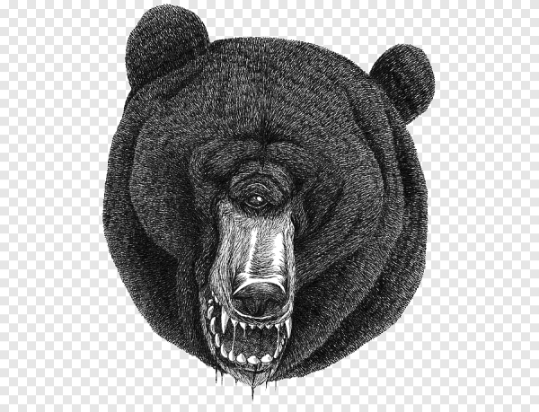 Голова медведя эскиз
