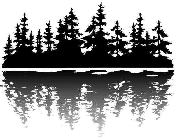 Силуэт леса