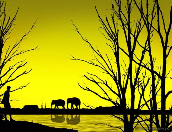 Силуэтное рисование