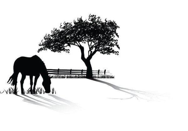 Силуэты природы