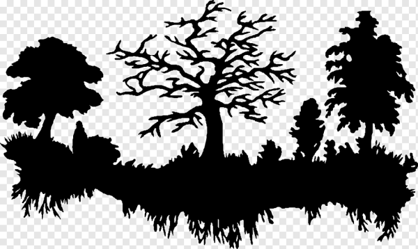 Силуэты лесных деревьев