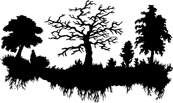 Силуэты лесных деревьев