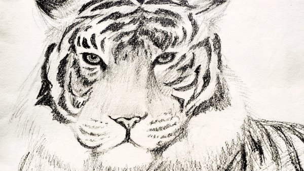 Крупный план рисунок