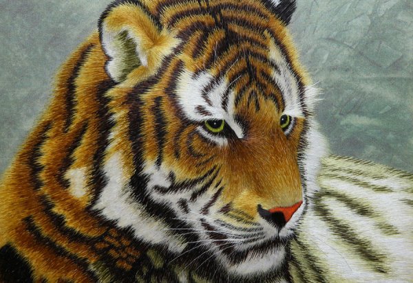 Тигр гладью