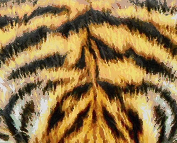 Тигровая шерсть