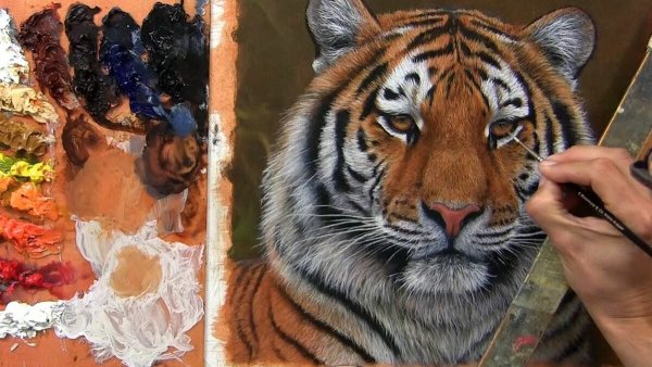 Шерсть тигра акрилом