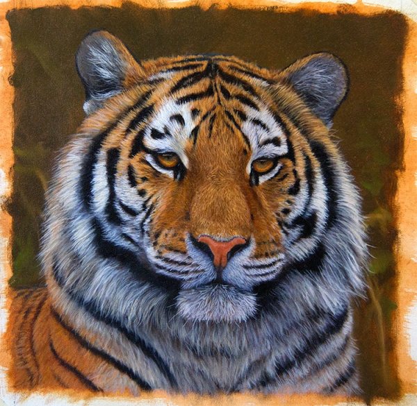 Шерстяная живопись тигр