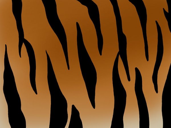 Тигровый принт