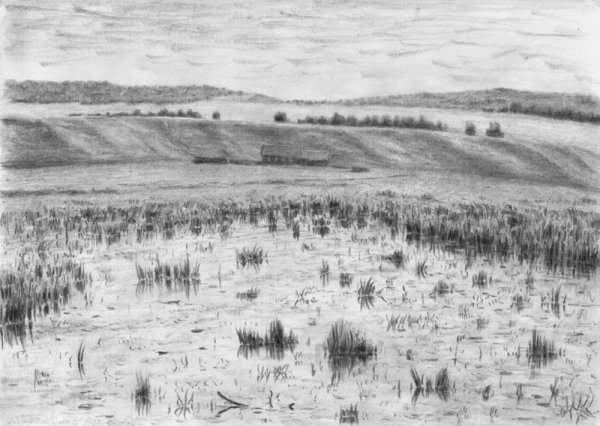 Суриков степь