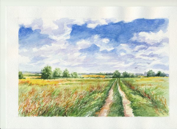 Рисунок Луга для детей