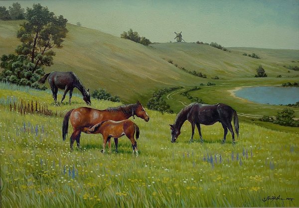 Мультяшная природа