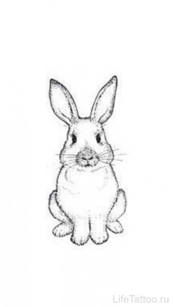 Кролик эскиз