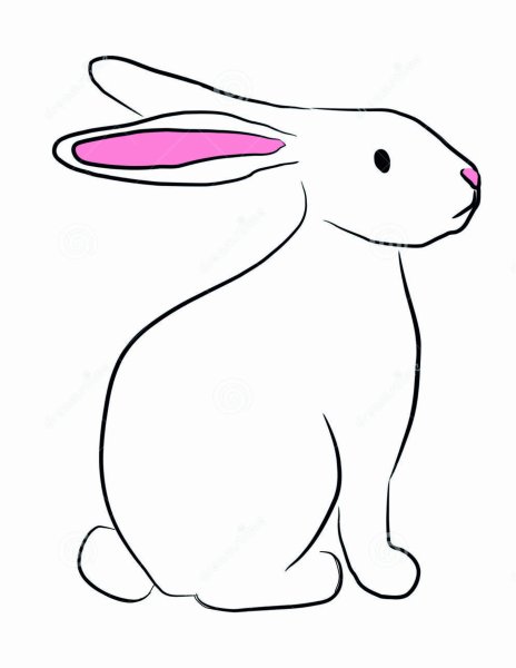 Заяц сбоку рисунок