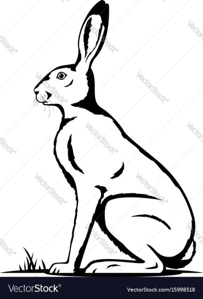 Контур заяц сидит