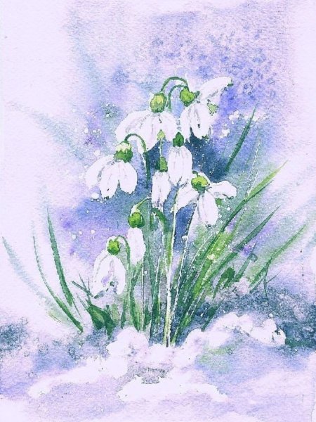 Подснежник раскраска