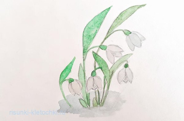 Рисуем подснежники поэтапно