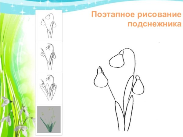 Первоцветы для дошкольников